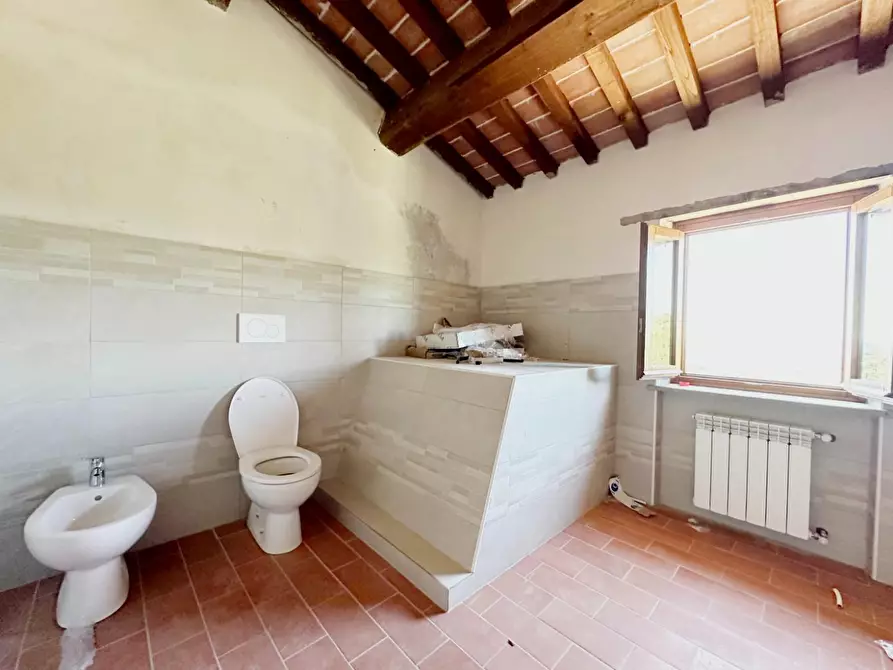 Immagine 18 di Casa colonica in vendita  a Monsummano Terme