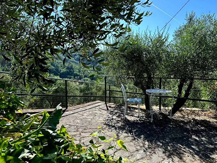 Immagine 29 di Casa colonica in vendita  a Monsummano Terme