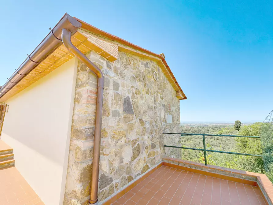 Immagine 7 di Casa colonica in vendita  a Monsummano Terme