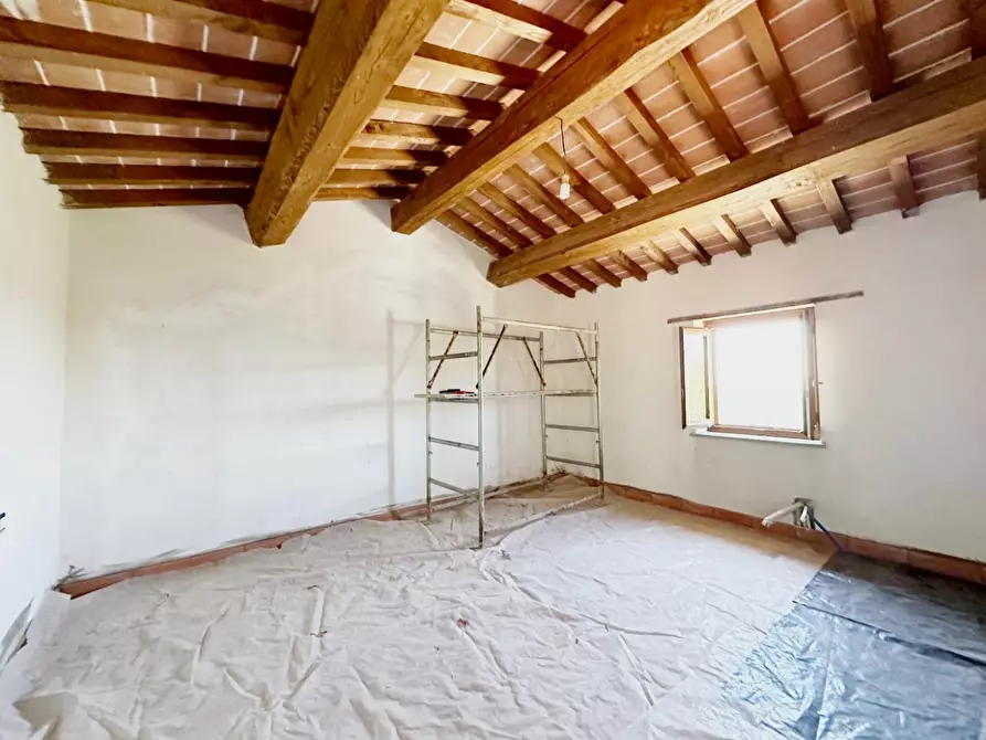 Immagine 22 di Casa colonica in vendita  a Monsummano Terme