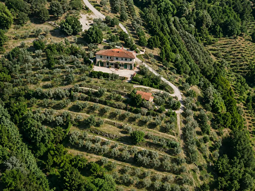 Immagine 4 di Casa colonica in vendita  a Monsummano Terme