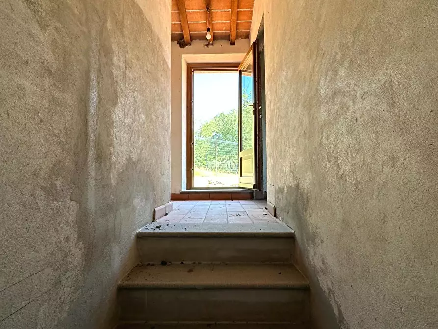 Immagine 24 di Casa colonica in vendita  a Monsummano Terme