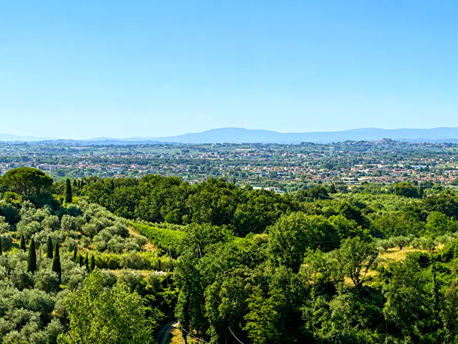 Immagine 5 di Casa colonica in vendita  a Monsummano Terme