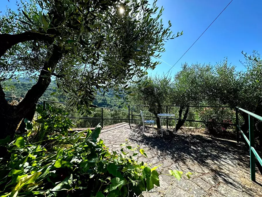 Immagine 30 di Casa colonica in vendita  a Monsummano Terme