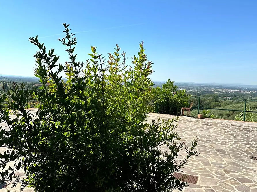 Immagine 25 di Casa colonica in vendita  a Monsummano Terme