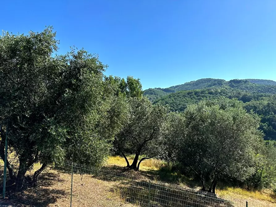 Immagine 31 di Casa colonica in vendita  a Monsummano Terme