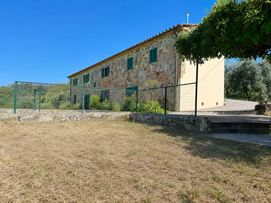 Immagine 2 di Casa colonica in vendita  a Monsummano Terme