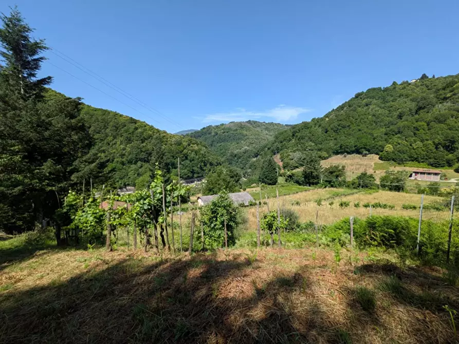 Immagine 41 di Rustico / casale in vendita  a Fosciandora
