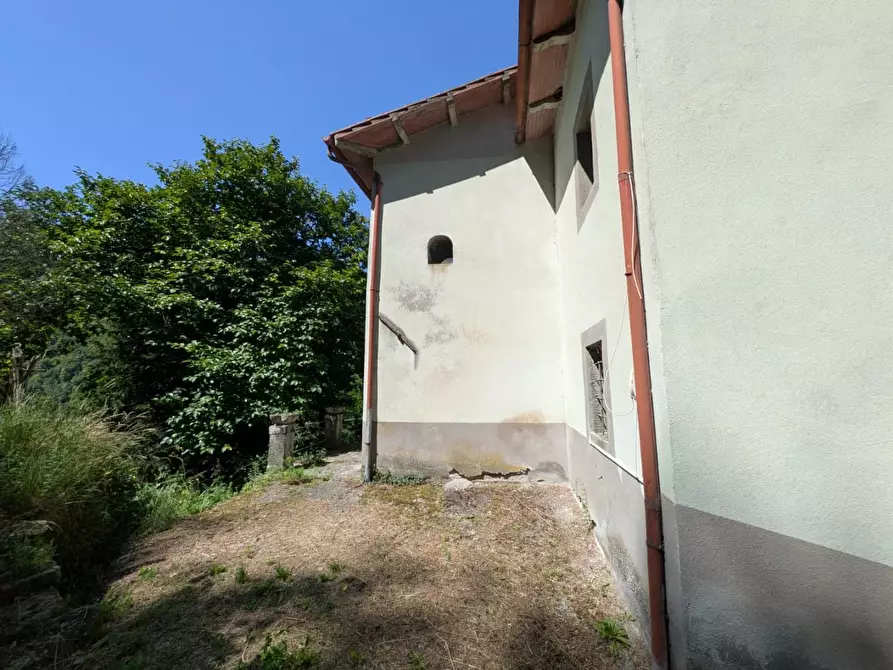 Immagine 4 di Rustico / casale in vendita  a Fosciandora