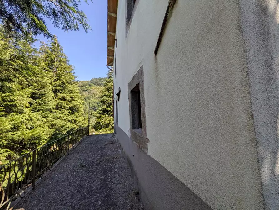 Immagine 5 di Rustico / casale in vendita  a Fosciandora
