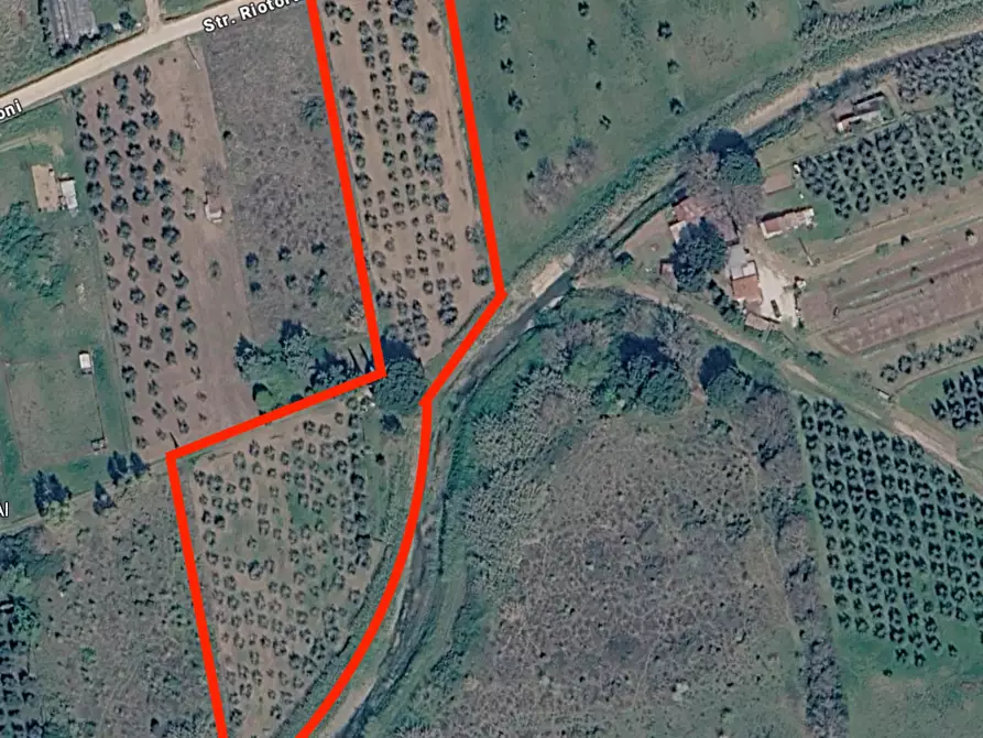 Immagine 1 di Terreno agricolo in vendita  a Piombino