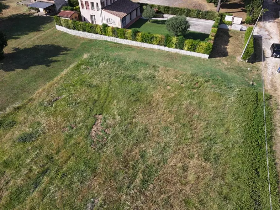 Immagine 2 di Terreno residenziale in vendita  a Pontedera