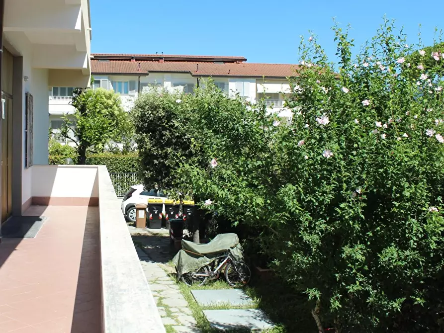 Immagine 4 di Mansarda in vendita  a Seravezza