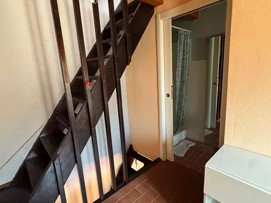 Immagine 5 di Terratetto in vendita  a San Giuliano Terme