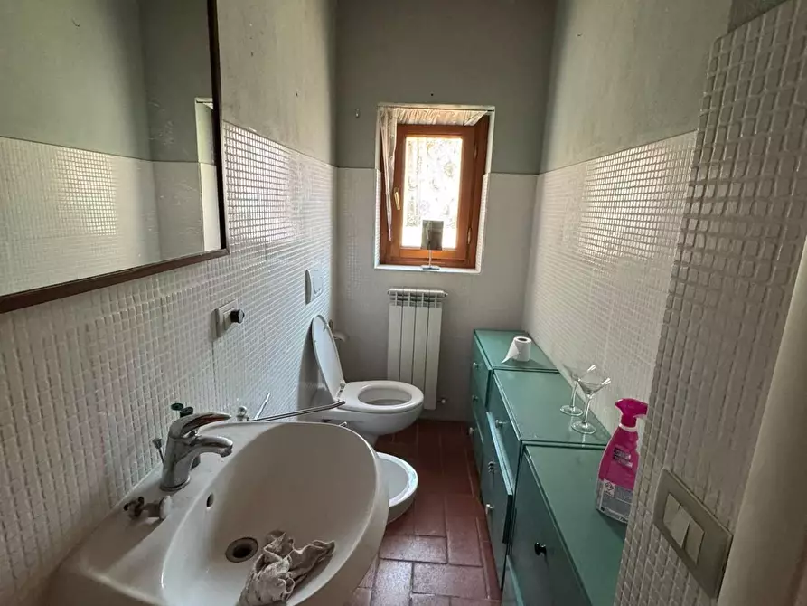 Immagine 6 di Terratetto in vendita  a San Giuliano Terme