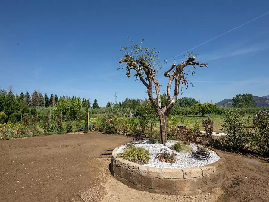 Immagine 7 di Villa in vendita  a San Giuliano Terme
