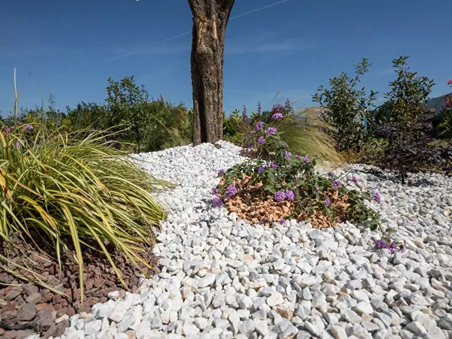 Immagine 65 di Villa in vendita  a San Giuliano Terme