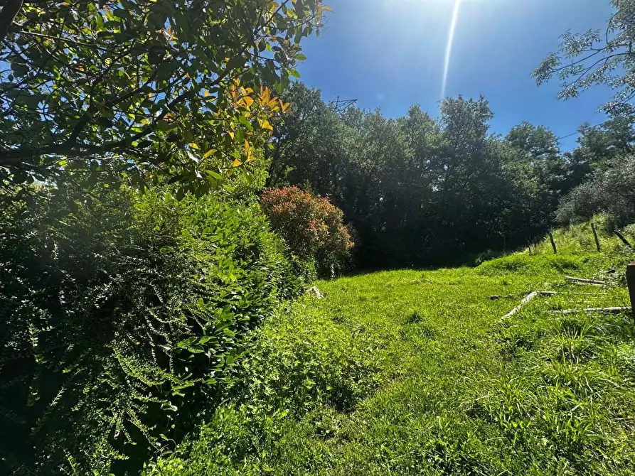 Immagine 9 di Rustico / casale in vendita  a Gallicano