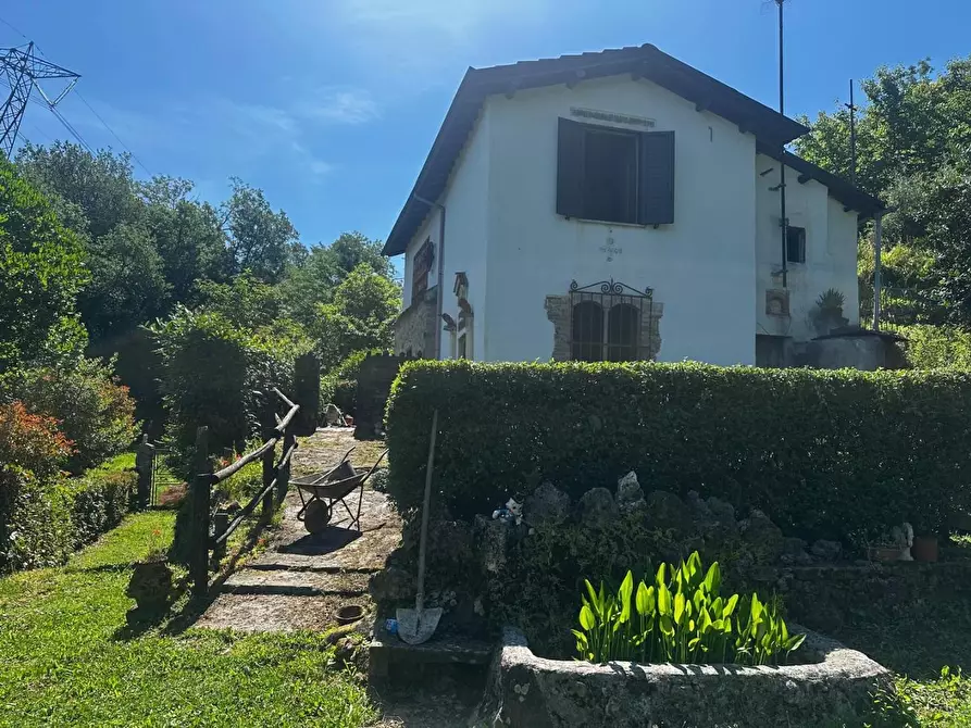 Immagine 5 di Rustico / casale in vendita  a Gallicano