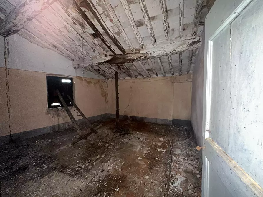 Immagine 7 di Terratetto in vendita  a Capannori