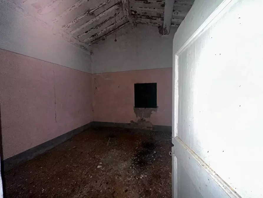 Immagine 6 di Terratetto in vendita  a Capannori