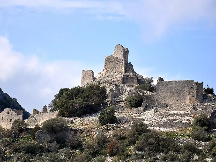 Immagine 11 di Villa in vendita  a Campiglia Marittima