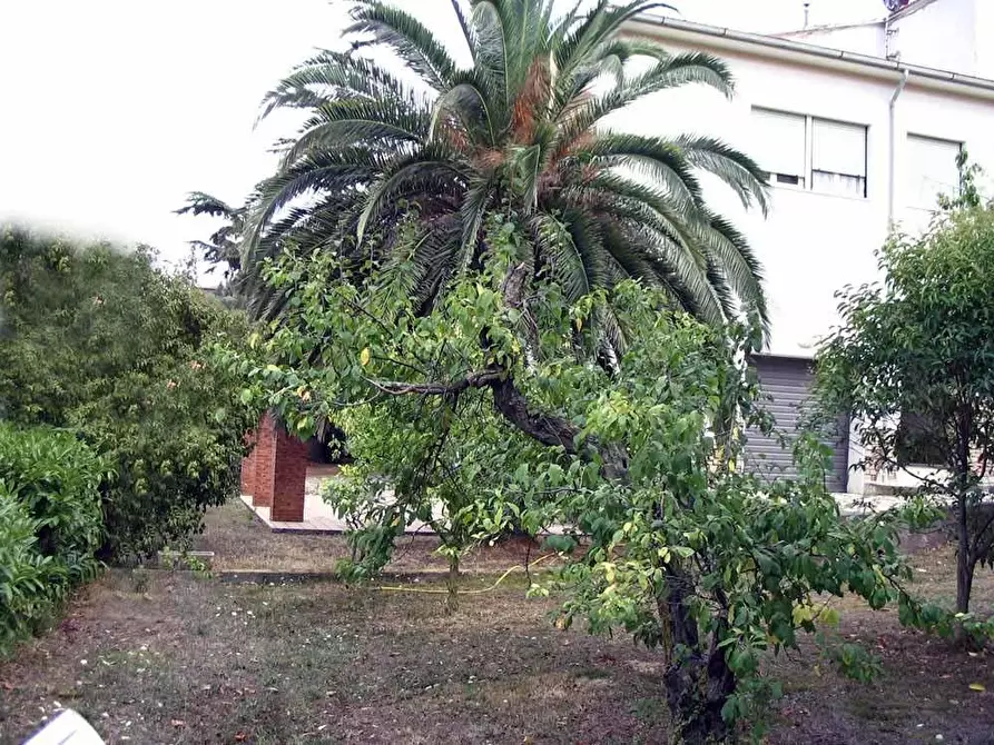 Immagine 10 di Villa in vendita  a Campiglia Marittima