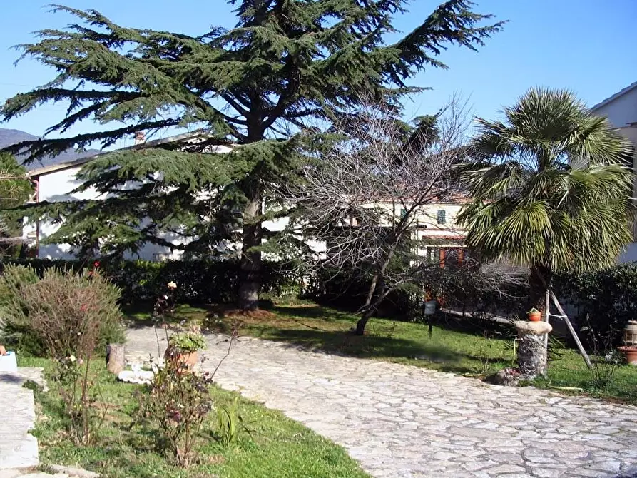 Immagine 4 di Villa in vendita  a Campiglia Marittima