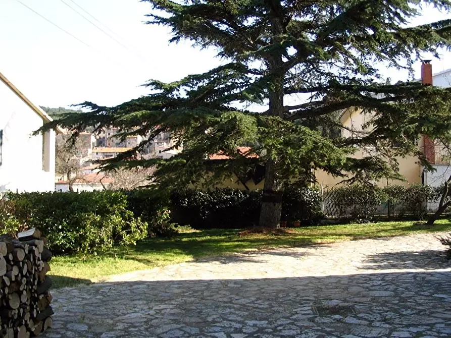 Immagine 7 di Villa in vendita  a Campiglia Marittima