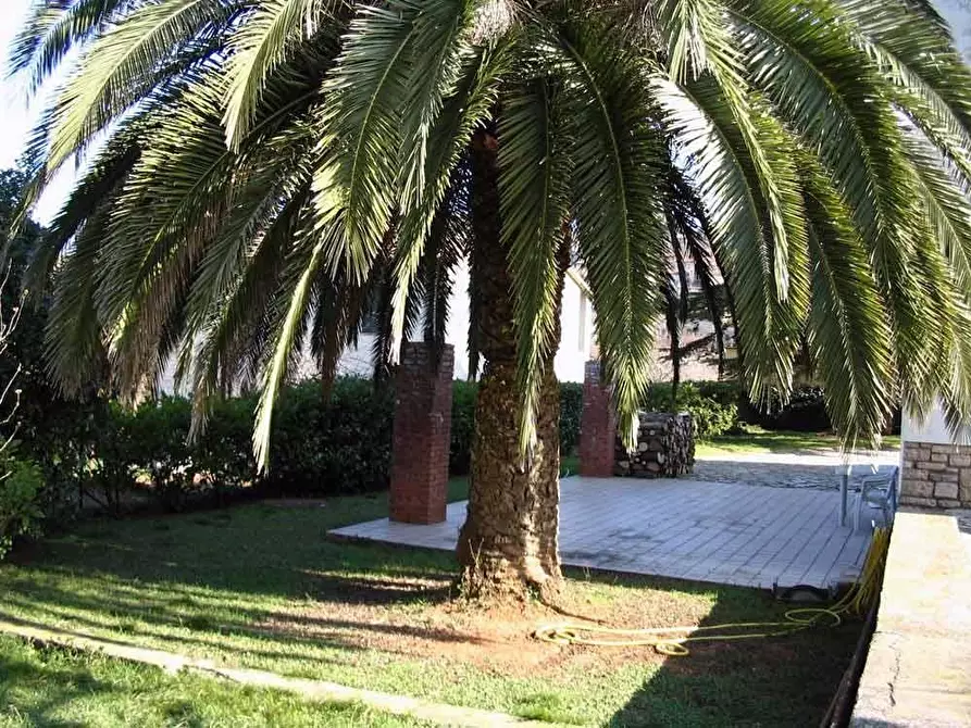 Immagine 9 di Villa in vendita  a Campiglia Marittima