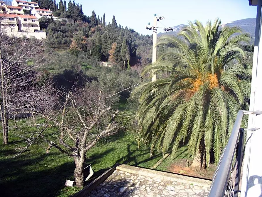 Immagine 5 di Villa in vendita  a Campiglia Marittima