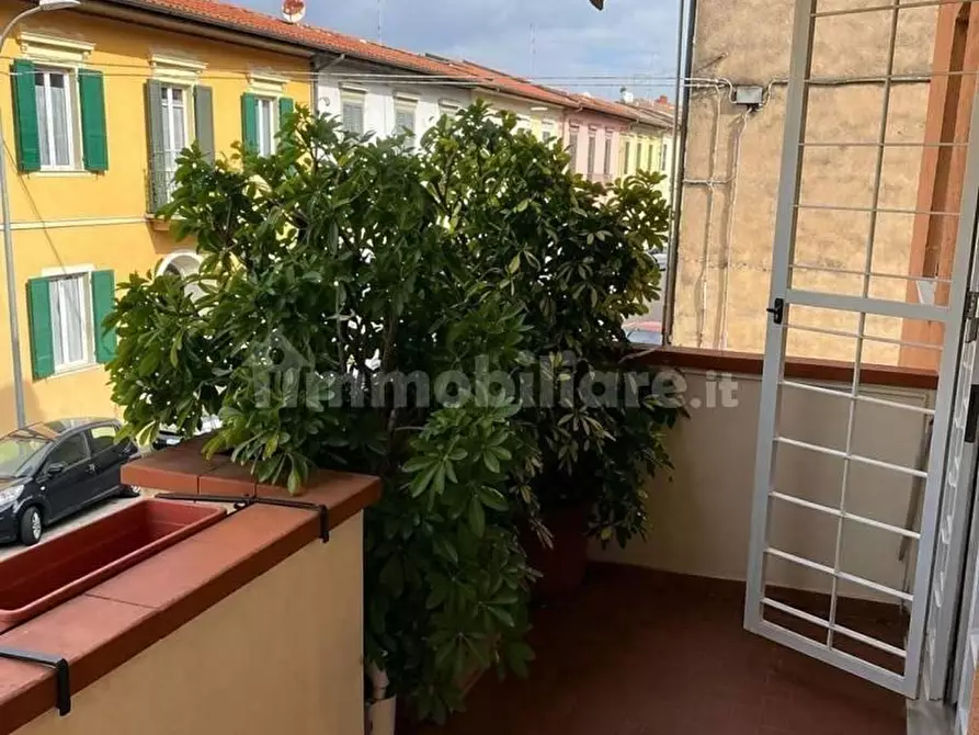 Immagine 3 di Appartamento in vendita  a Pisa