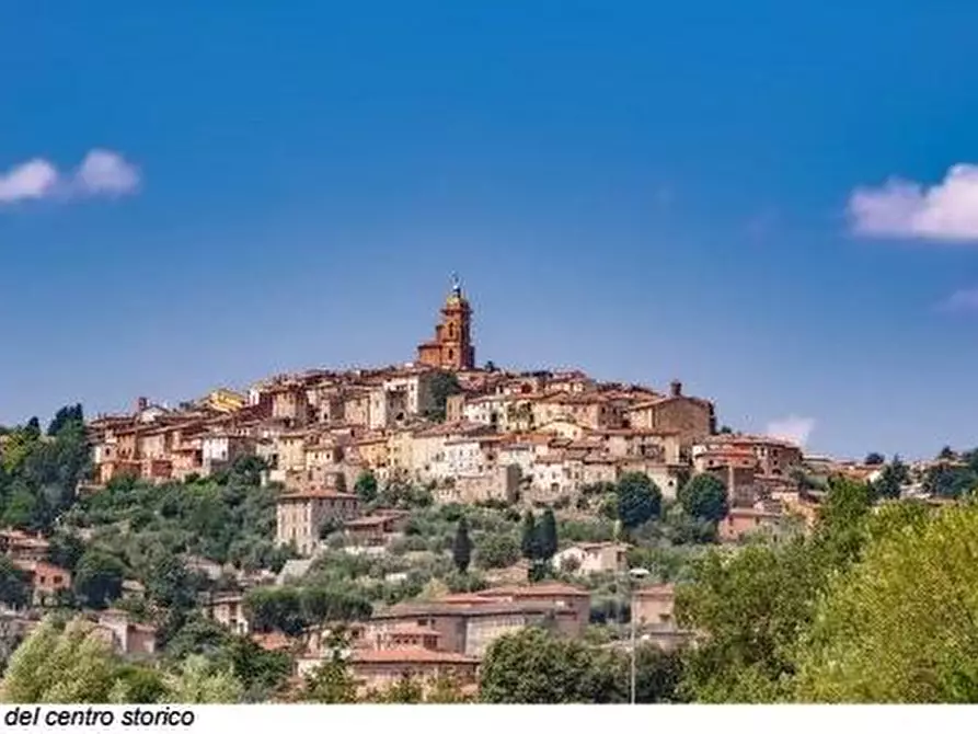 Immagine 5 di Palazzo in vendita  a Sinalunga