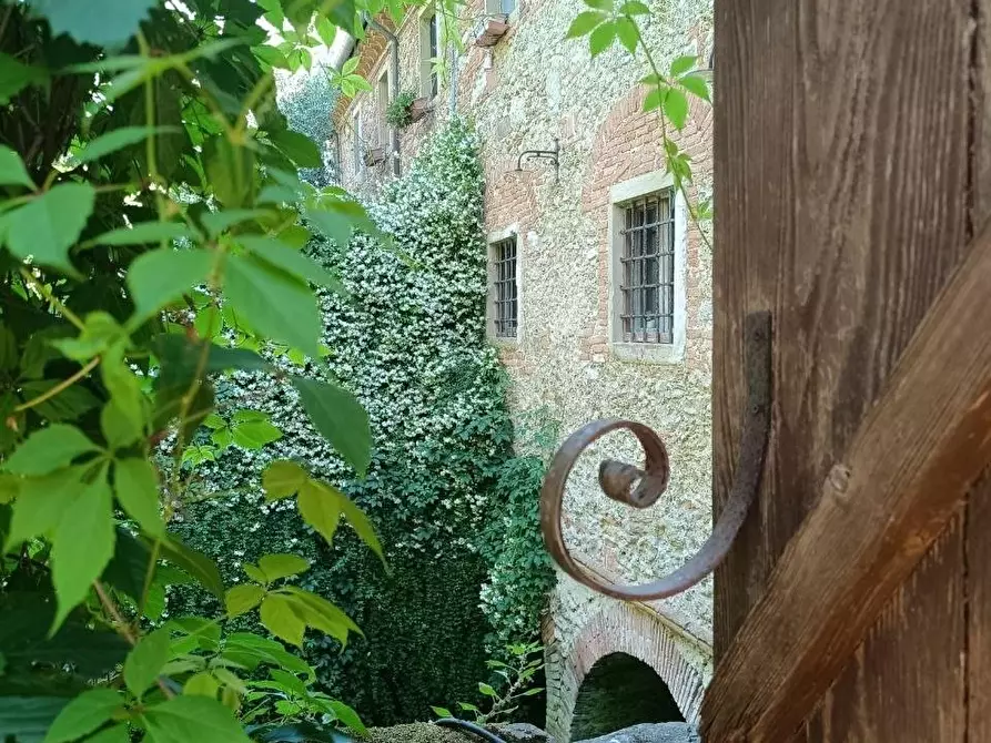 Immagine 2 di Casa semindipendente in vendita  a Fauglia
