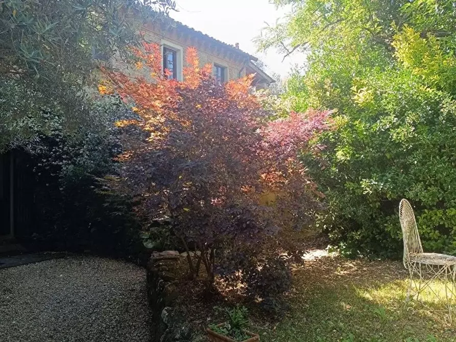 Immagine 9 di Casa semindipendente in vendita  a Fauglia