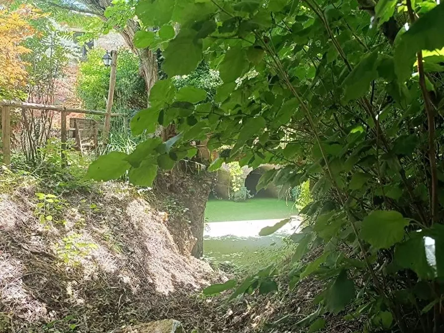 Immagine 6 di Casa semindipendente in vendita  a Fauglia