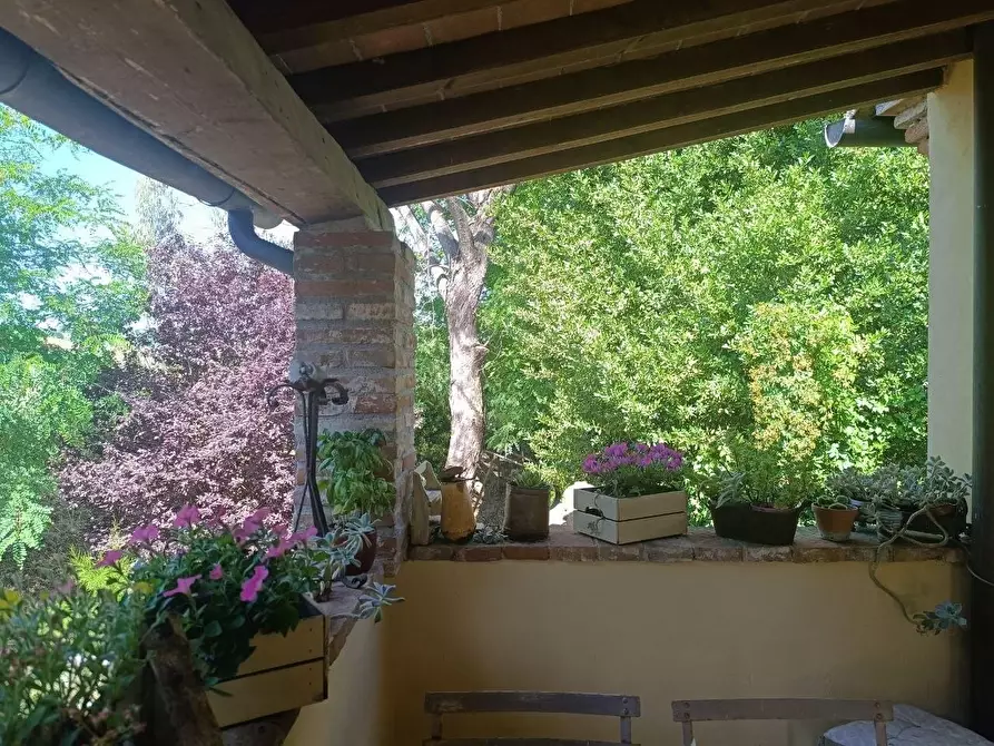 Immagine 52 di Casa semindipendente in vendita  a Fauglia