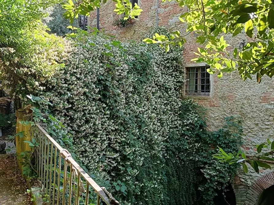 Immagine 3 di Casa semindipendente in vendita  a Fauglia