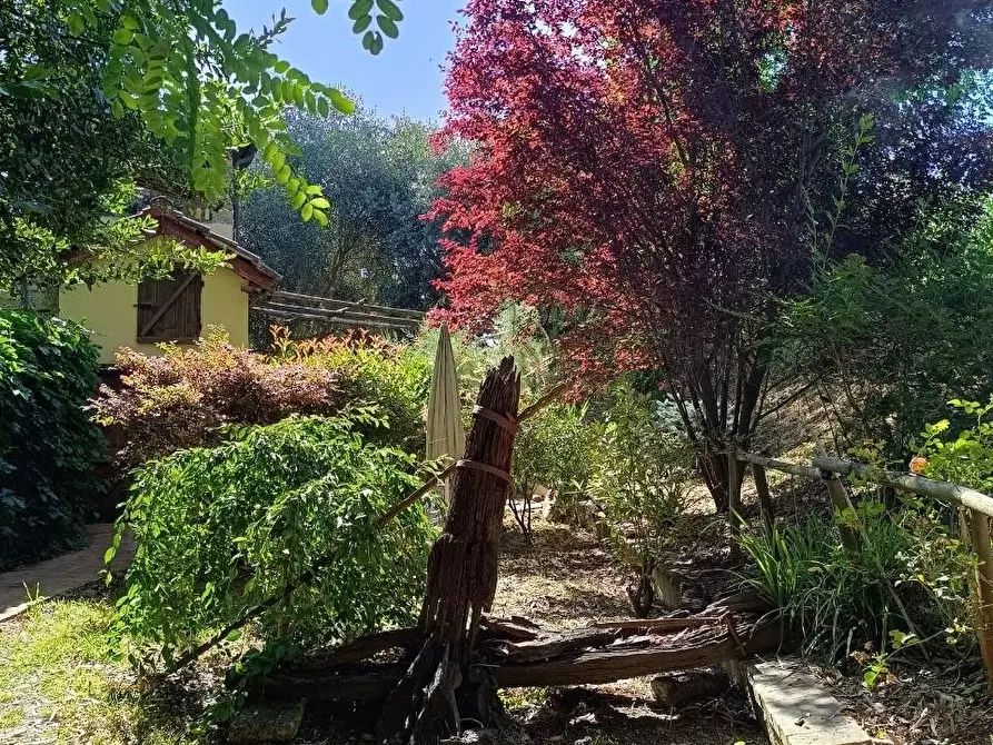 Immagine 8 di Casa semindipendente in vendita  a Fauglia