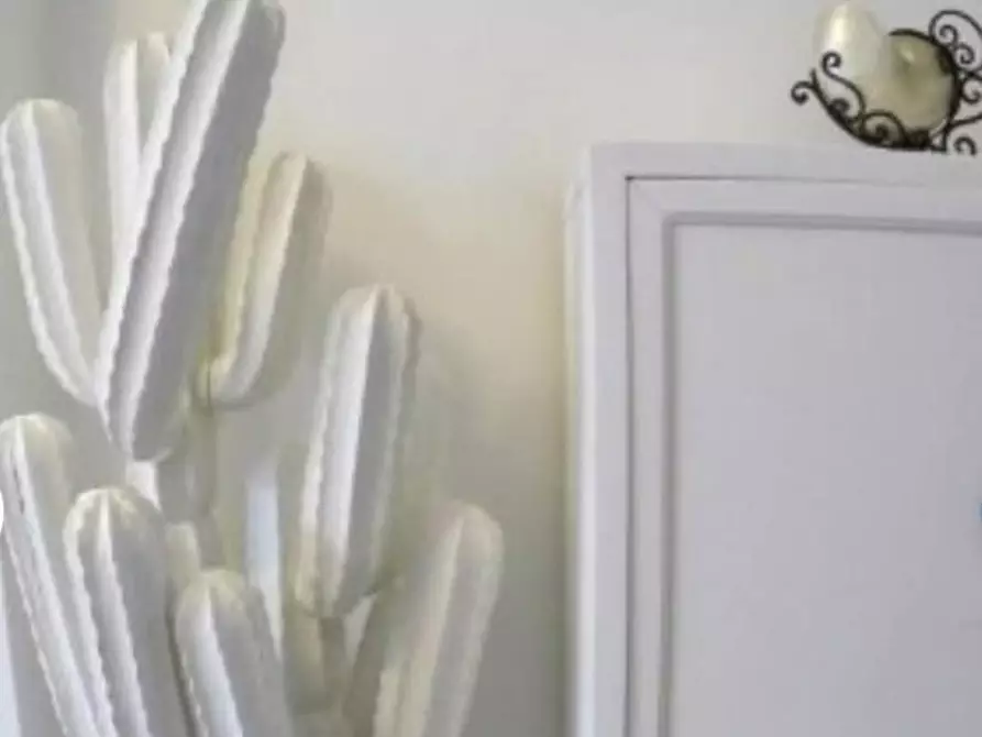 Immagine 4 di Appartamento in vendita  a Viareggio