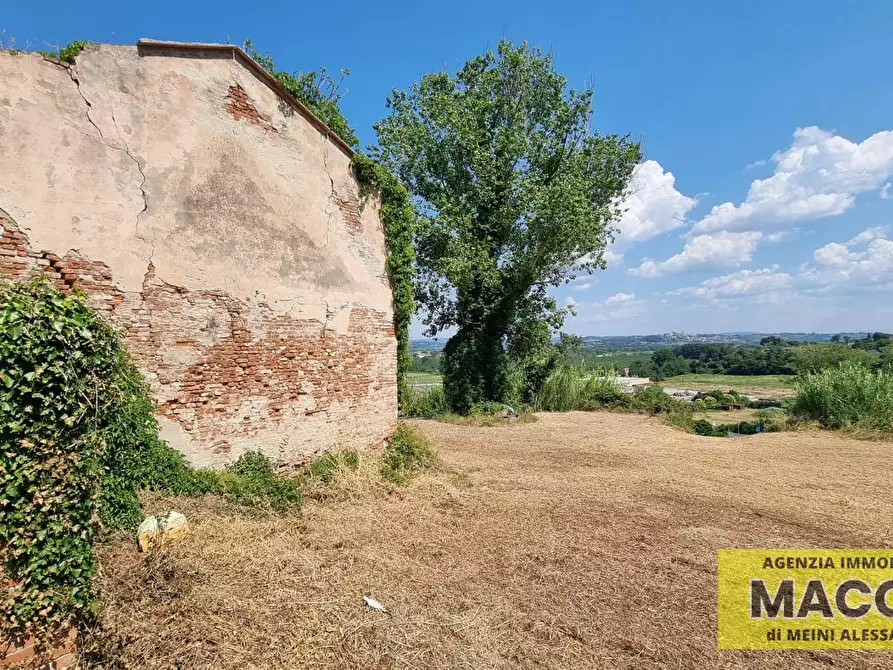 Immagine 1 di Casa colonica in vendita  a Capannoli
