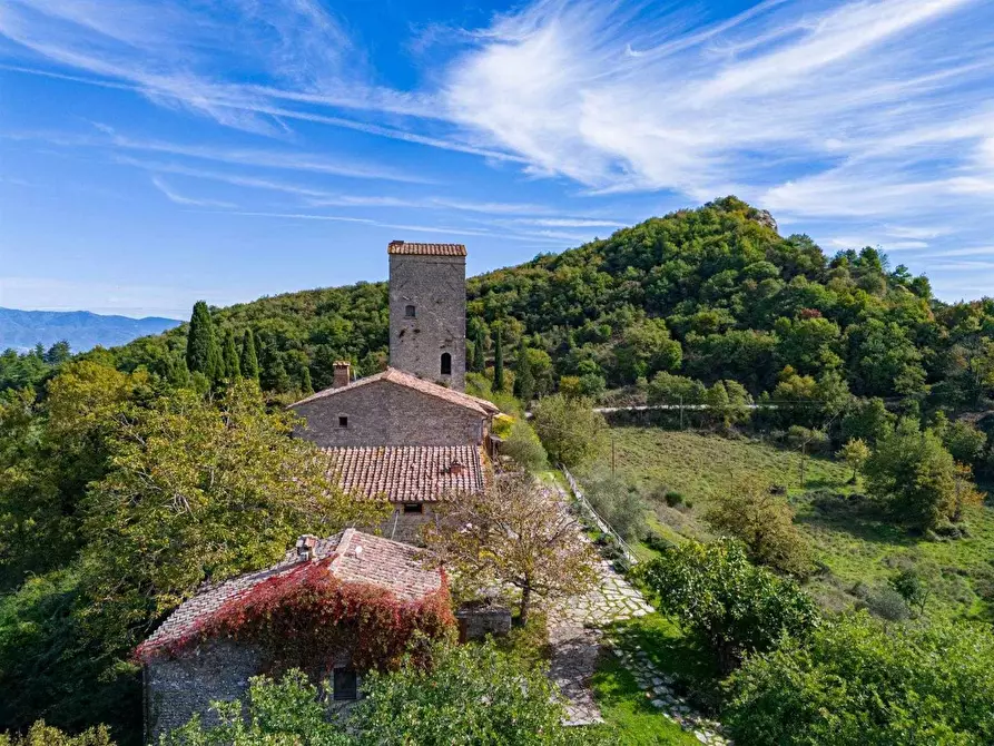Immagine 2 di Villa in vendita  a Gaiole In Chianti