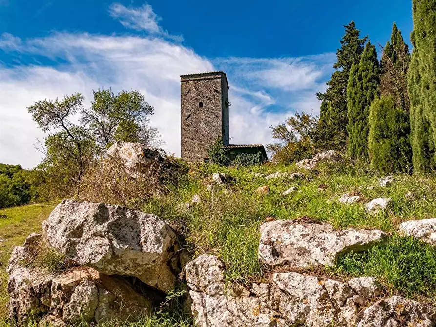 Immagine 15 di Villa in vendita  a Gaiole In Chianti
