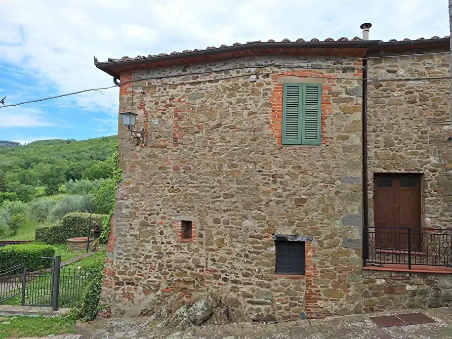 Immagine 28 di Casa colonica in vendita  a Gaiole In Chianti