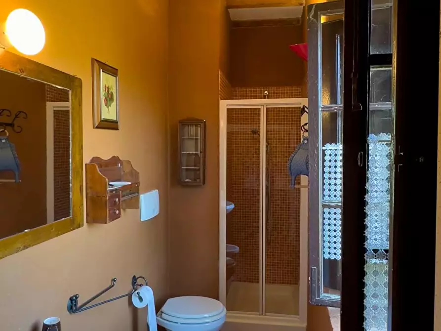 Immagine 16 di Casa colonica in vendita  a Gaiole In Chianti