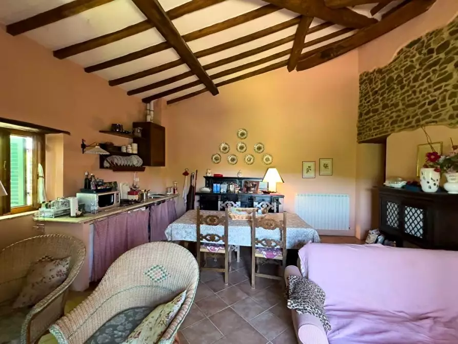 Immagine 17 di Casa colonica in vendita  a Gaiole In Chianti