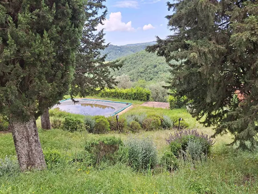 Immagine 25 di Casa colonica in vendita  a Gaiole In Chianti