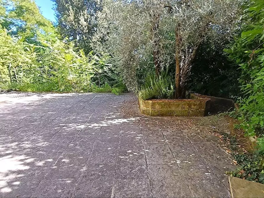 Immagine 16 di Terratetto in vendita  a San Miniato