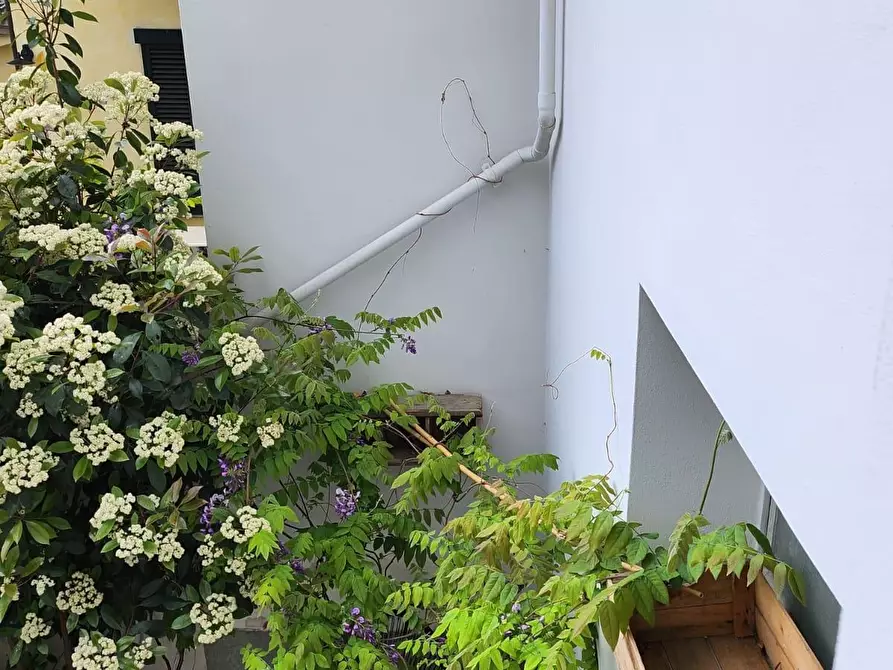 Immagine 34 di Appartamento in vendita  a Empoli