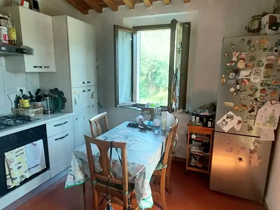 Immagine 2 di Appartamento in vendita  a Calci